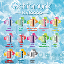 Bild in den Galerie-Viewer laden, Chipmunk KN10000

